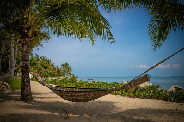 Welche digitalen Tools können Ferienvermietern helfen?